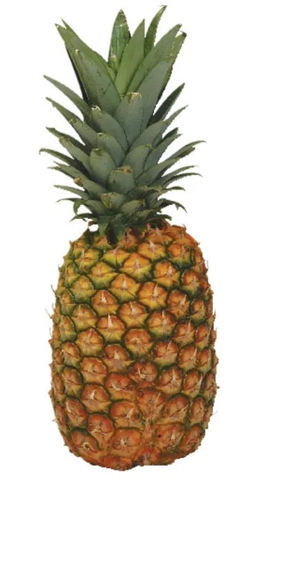 Argo starch, fuse with Pineapple chunk and crumbly bowl
